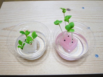 f:id:haruirosoleil:20180416205536j:plain f:id:haruirosoleil:20180416205536j:plain