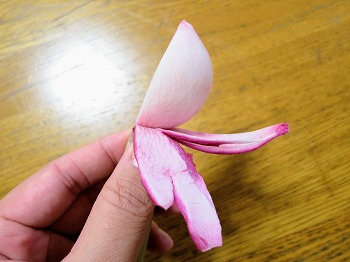 f:id:haruirosoleil:20181103135229j:plain