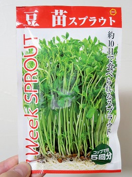 f:id:haruirosoleil:20190129212937j:plain f:id:haruirosoleil:20190129212937j:plain