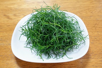 f:id:haruirosoleil:20190602213643j:plain f:id:haruirosoleil:20190602213643j:plain