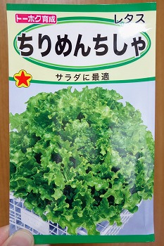 f:id:haruirosoleil:20200113205403j:plain f:id:haruirosoleil:20200113205403j:plain