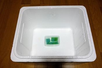 f:id:haruirosoleil:20200119192549j:plain f:id:haruirosoleil:20200119192549j:plain