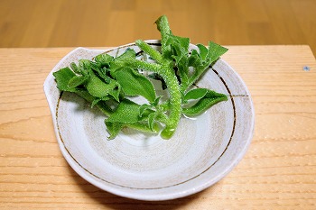 f:id:haruirosoleil:20200215171513j:plain