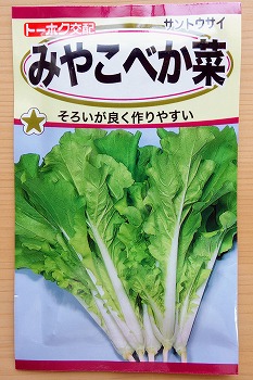 f:id:haruirosoleil:20200509182741j:plain f:id:haruirosoleil:20200509182741j:plain