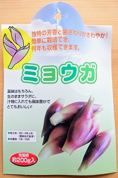 f:id:haruirosoleil:20200510062715j:plain f:id:haruirosoleil:20200510062715j:plain