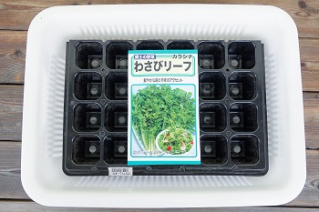 f:id:haruirosoleil:20200913202027j:plain f:id:haruirosoleil:20200913202027j:plain