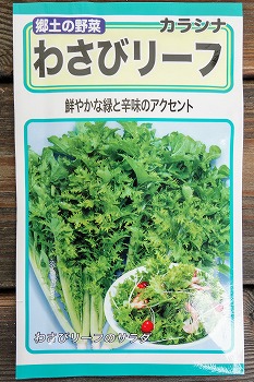 f:id:haruirosoleil:20200913202047j:plain f:id:haruirosoleil:20200913202047j:plain