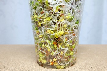 f:id:haruirosoleil:20201226171337j:plain