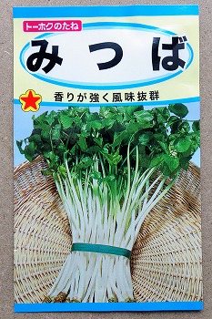 f:id:haruirosoleil:20210321210838j:plain
