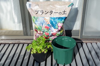 f:id:haruirosoleil:20211212205948j:plain